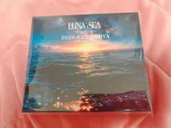 LUNASEA FOREVER CD 大宮 SLAVE FC限定 ルナシー - メルカリ