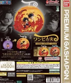 ONE PIECE ワンピの実 “GRAND CAPSULE” Vol.02