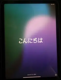 Apple iPad Air 本体 展示品 デモ機 美品