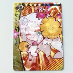 FGO DreamStriker コレクションカード サッカー マリー 水着