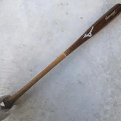 Item thumbnail for item f5d834fb-8f96-4f15-9b31-8573d8af0820