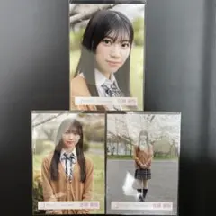 Item thumbnail for item ae663f1d-1366-47de-8ef5-7a08bbf62981