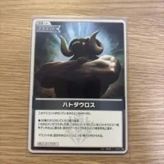 ホロカ　Sまとめ売り