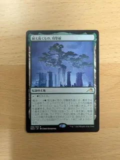 2025年最新】母聖樹の人気アイテム - メルカリ