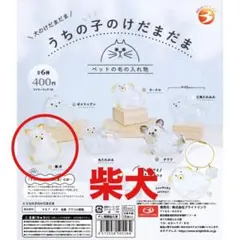 【柴犬】 うちの子のけだまだま 犬のけだまだま