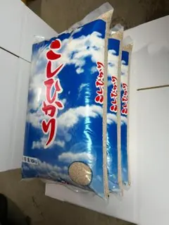 国内産米 青森産 無洗米 5kg×4袋 20kg - メルカリ