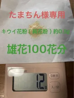 たまちん様専用※ キウイ花粉（純花粉）約0.5g 約100蕾 - メルカリ