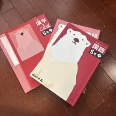 国語・漢字・算数 5年 教材セット