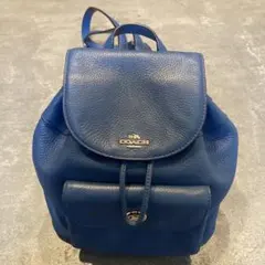 2026年最新】coach ミニリュックの人気アイテム - メルカリ