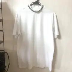 Item thumbnail for item 641cd699-6e28-4bb9-b4f6-7c58b1ca8514