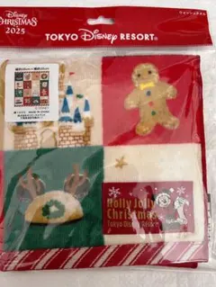 ディズニー　クリスマス　ウォッシュタオル