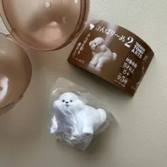 ふんばりーぬ2 ふんばり〜ぬ2 ビションフリーゼ