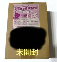 ポケモンカード テラスタルフェスex BOX ダンボール未開封 シュリンク付き