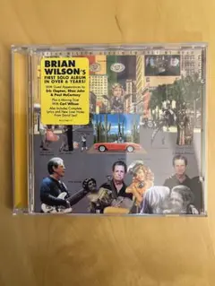 Brian Wilson Gettin' In Over My Head