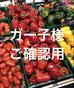 352 新品 夢地哉mujiyaムジヤ 黒ブラックハイネック後ろロングカットソー