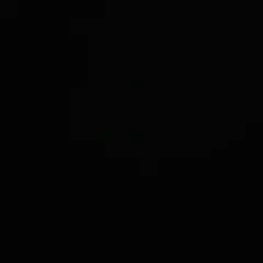 ぼーちゃん様専用