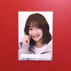 Item thumbnail for item 272efcf9-97ce-4d94-889d-d55c33b44954