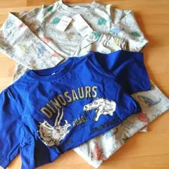 Item thumbnail for item 7aeef8cf-e9af-4266-9a4f-750dc6b68260