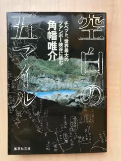 Item thumbnail for item 81f66f29-a9c9-4002-98e5-aac874de1f6c