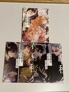 春夏秋冬代行者 メロンブックス 小冊子 短編小説 - メルカリ