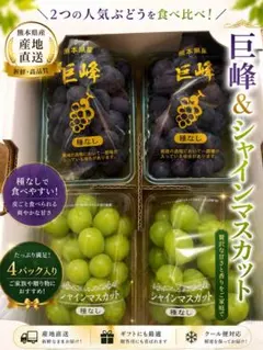 浜松産 高級ぶどう 3種ギフトセット 巨峰 シャインマスカット クイーン