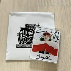Straykids スキズ トイ ワールド アクリル マグネット バンチャン