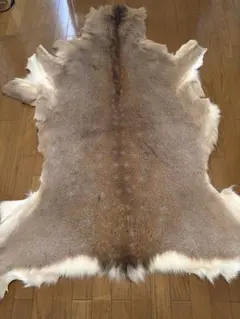2026年最新】鹿毛皮の人気アイテム - メルカリ