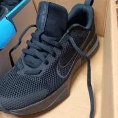 Nike Air Max ブラック スニーカー