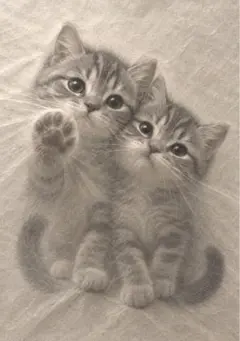 猫 デジタルアート写真 1枚