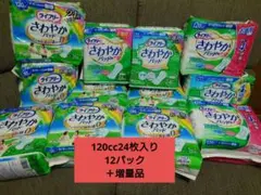 吸水さらフィ さら肌さらり 尿モレサラサーティ その他 ナプキン