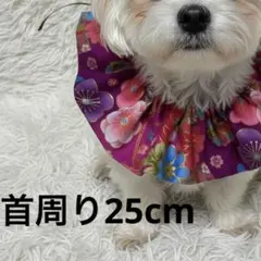 お正月 おひなさま 初節句 ペット用スタイ 和柄 フリルスタイ