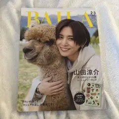 Item thumbnail for item 562ee127-58eb-47dd-890b-51c16f22d952