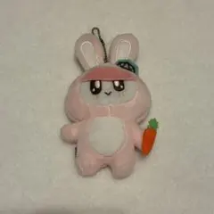 ボンボンイ SEVENTEEN うさぎ ぬいぐるみ