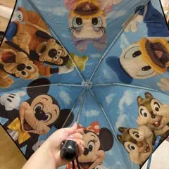 限定値下げ中　東京ディズニーリゾート　日傘　実写　旧フェイス 東京ディズニーリゾート 実写旧フェイス 折りたたみ傘 晴雨兼用