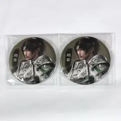 三国無双 メタリック 缶バッジ 趙雲 コーエー ストア - メルカリ
