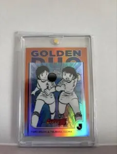 Item thumbnail for item 058a2af4-4f58-4d5d-bb96-408e2617c480