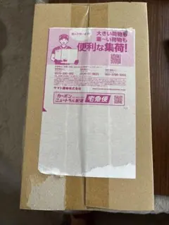 フ*ニ様 完全未開封 当選品 七瀬なな直筆サイン入り プレイボーイ表紙