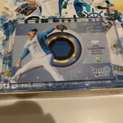 Item thumbnail for item 06a6adea-e38f-4873-83fe-da6d479f60f2