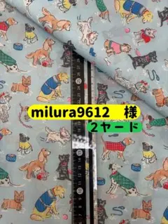 ⑪·͜·ᰔᩚ【2ヤード】ナイロン生地