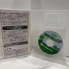 とびだせ どうぶつの森 ゲームキューブ