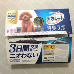 Item thumbnail for item 75534a5c-e384-459f-a450-4845a09845db