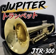 2026年最新】JUPITER JTR-300の人気アイテム - メルカリ
