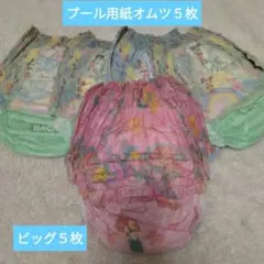 ディズニー柄 水あそびパンツ 紙オムツ BIG5枚セット