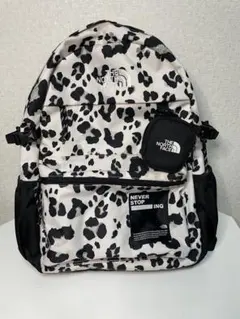 THE NORTH FACE RIMO LIGHT BACKPACK リュック