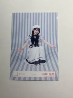 櫻坂46 向井純菜 生写真 マリン衣装 - メルカリ