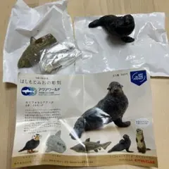 Item thumbnail for item 8fc7c103-b3ba-42ab-a95a-29b041af52d4