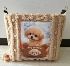 Item thumbnail for item 2fd57e07-c600-486b-9a6f-93d9e4bf46ab