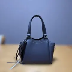 ランバン　ハンドバッグのサムネイル