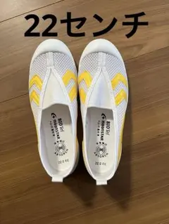 上靴　ムーンスター　2E 22センチ