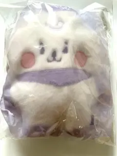 BTS JIN BT21 RJ ふわふわ　ぬいぐるみ　BT21